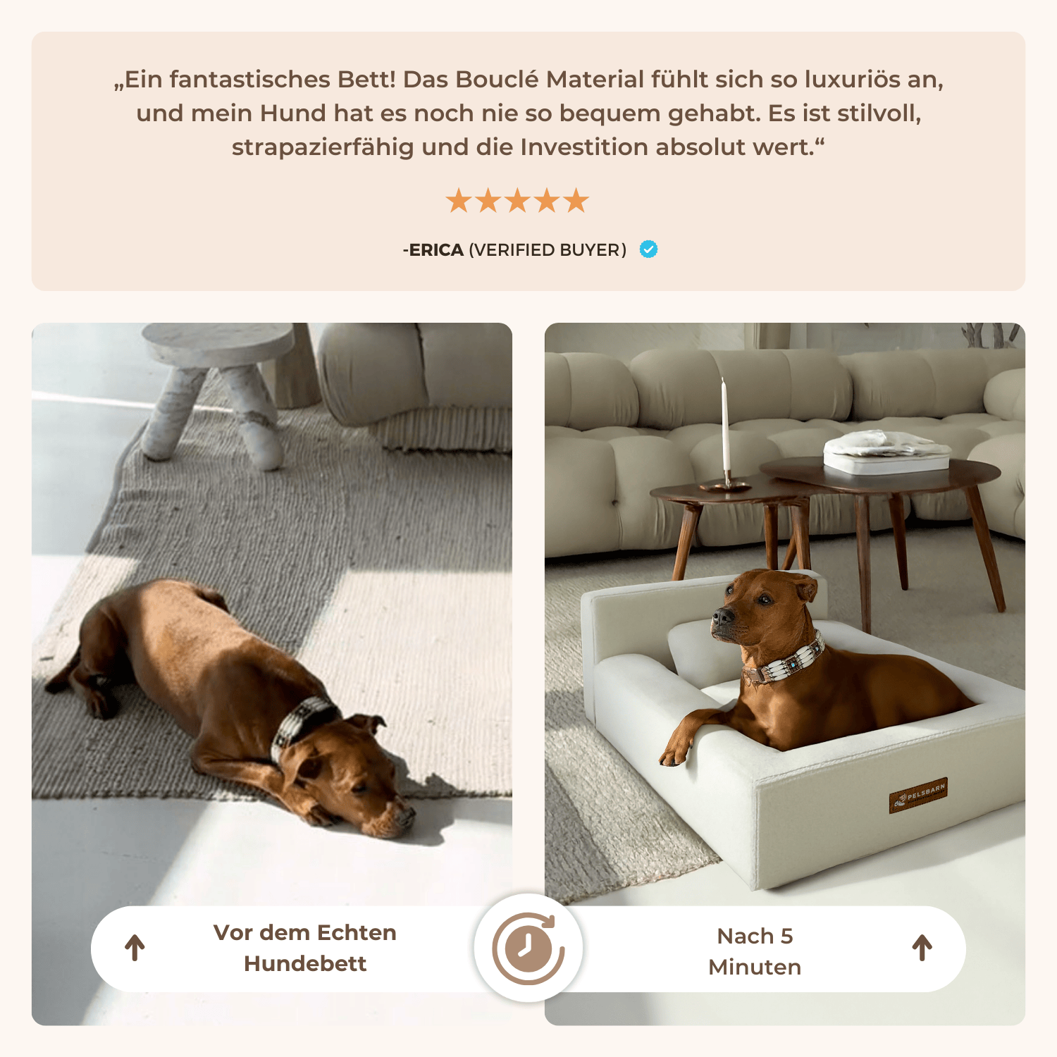 Das „ECHTE“ Bett für Hunde, die nur das Beste verdienen – pelsbarn.de
