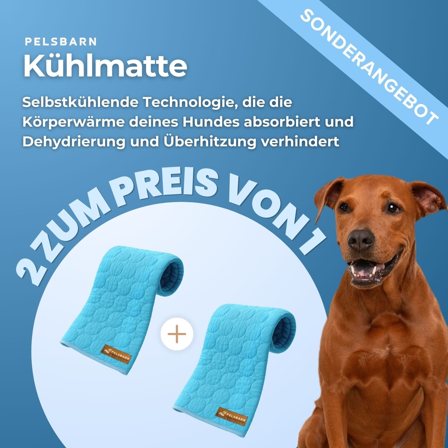 Pelsbarn Kühlmatte (1+1 GRATIS)
