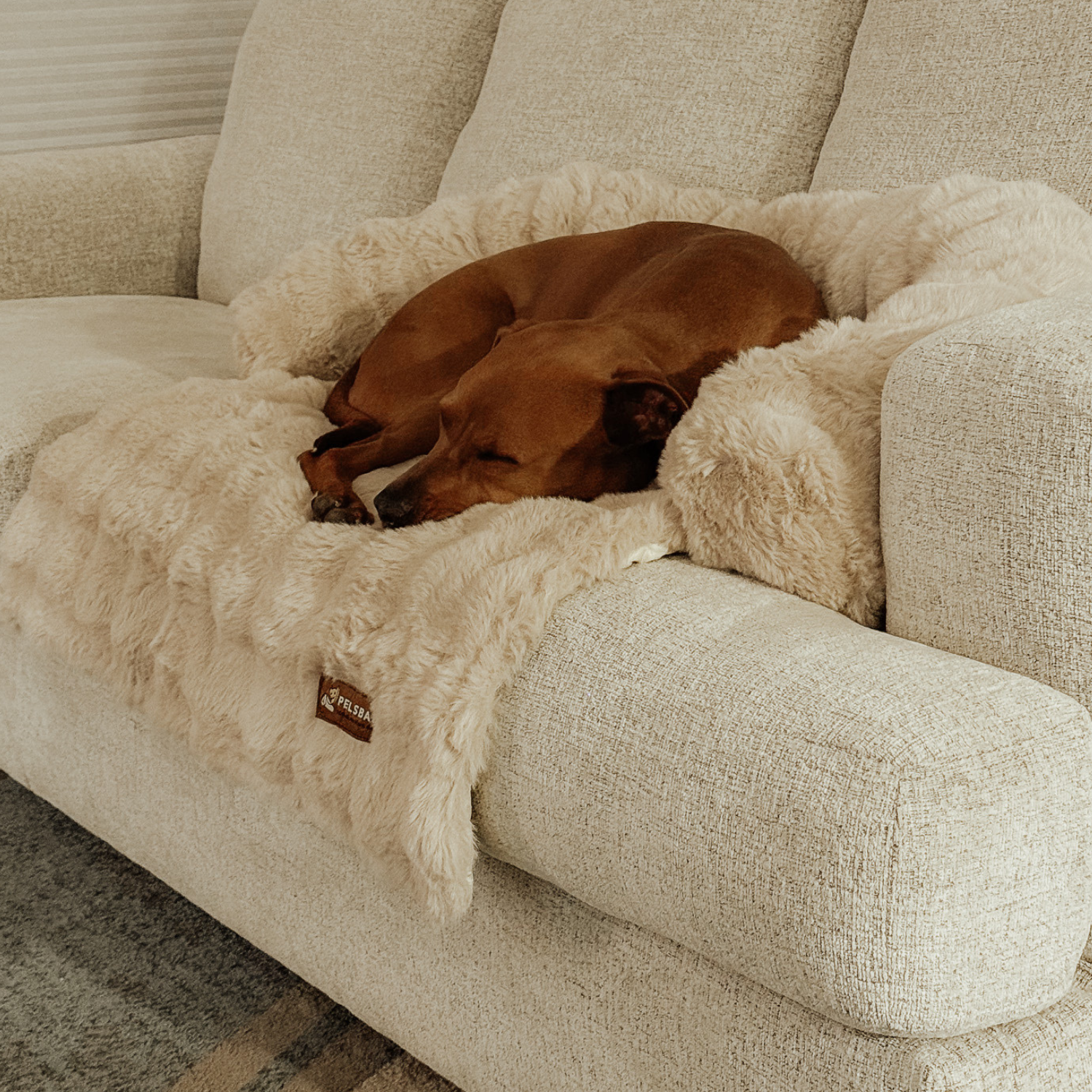 NEU: Luxuriöses Cozy Pelsbarn Sofabett
