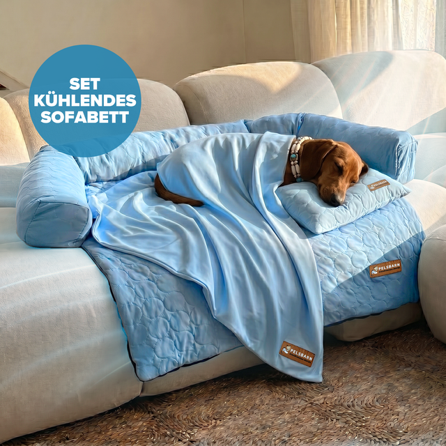 Pelsbarn Kühlendes Sofabett (4-mal effektiver) Komplettes Set