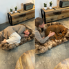 Schenke deinem Hund erholsame Ruhe