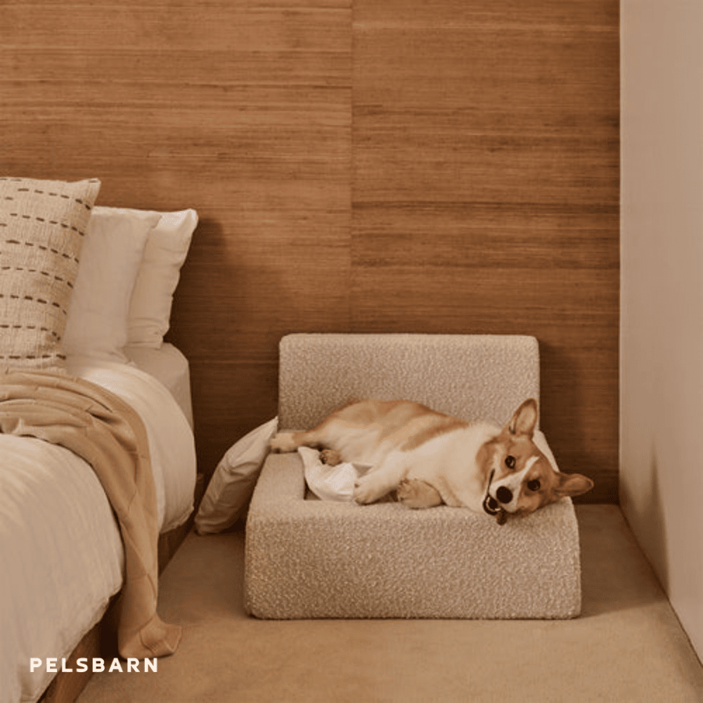 Das „ECHTE“ Bett für Hunde, die nur das Beste verdienen