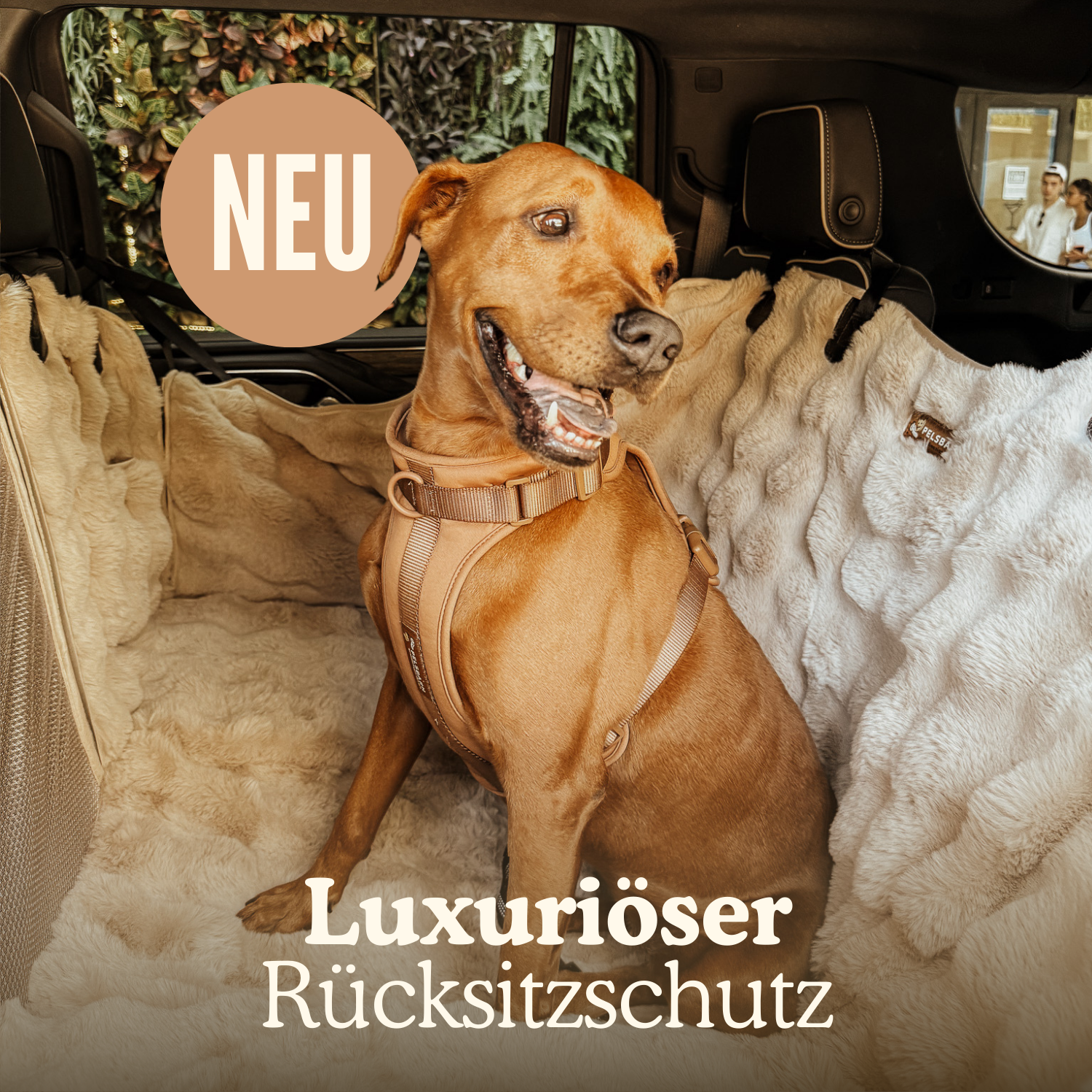 NEU: Luxuriöser Rücksitzschutz