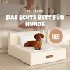 Das „ECHTE“ Bett für Hunde, die nur das Beste verdienen