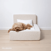 Das „ECHTE“ Bett für Hunde, die nur das Beste verdienen