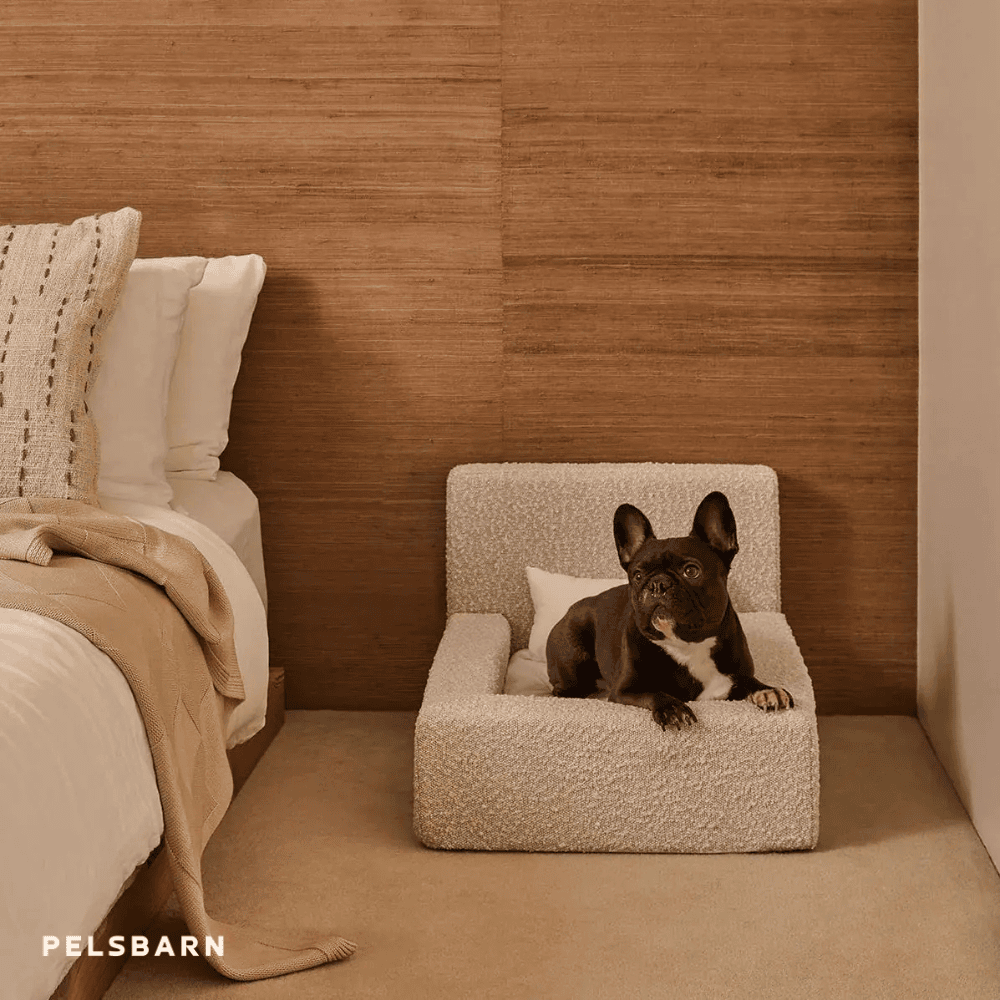 Das „ECHTE“ Bett für Hunde, die nur das Beste verdienen