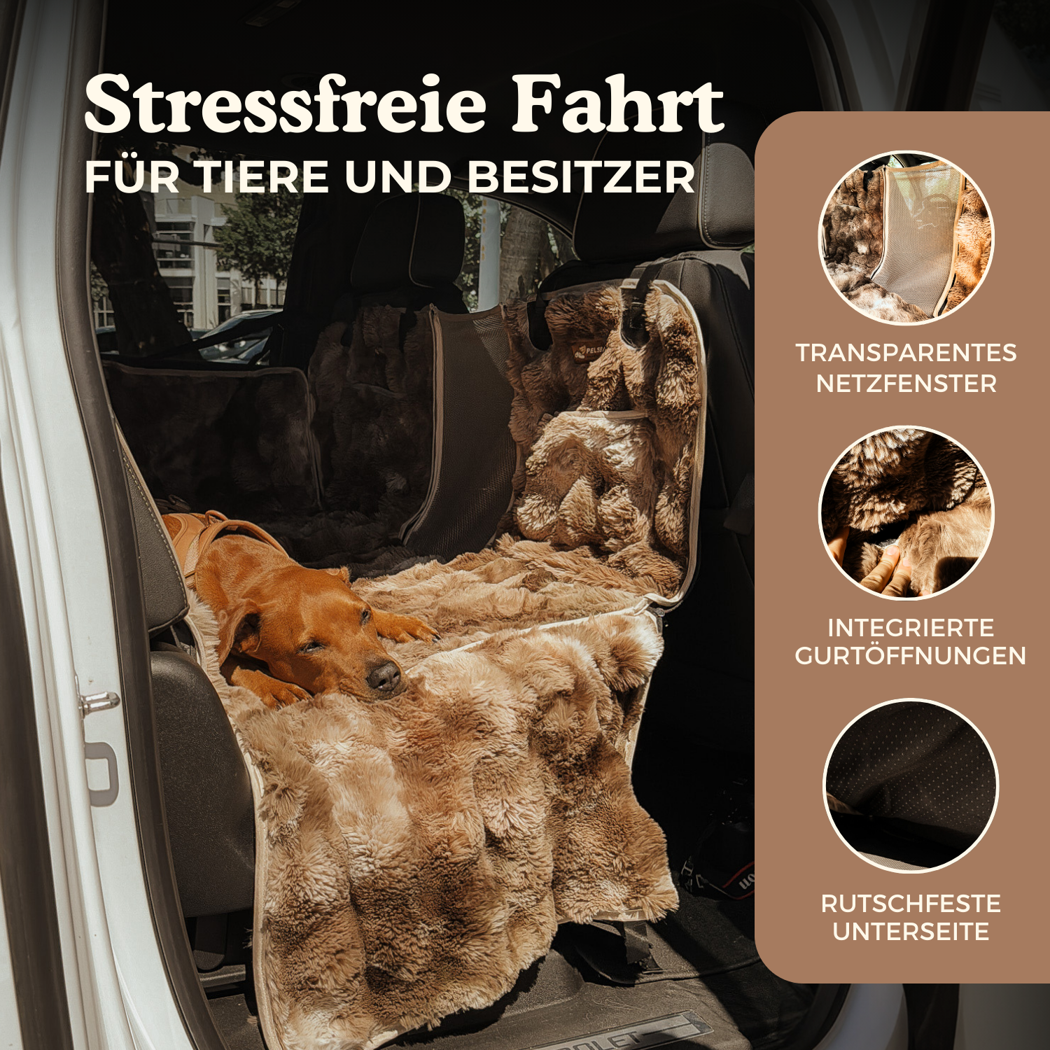 NEU: Luxuriöser Rücksitzschutz