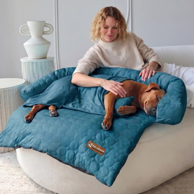 Pelsbarn Kühlendes Sofabett (4-mal effektiver) Komplettes Set