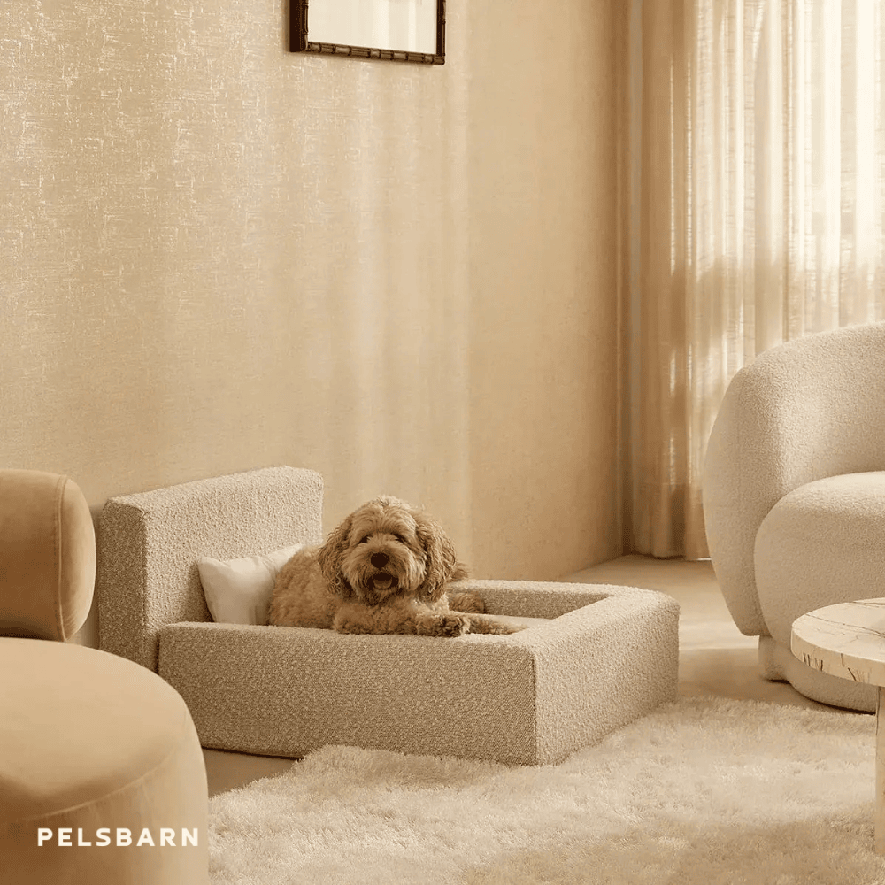 Das „ECHTE“ Bett für Hunde, die nur das Beste verdienen