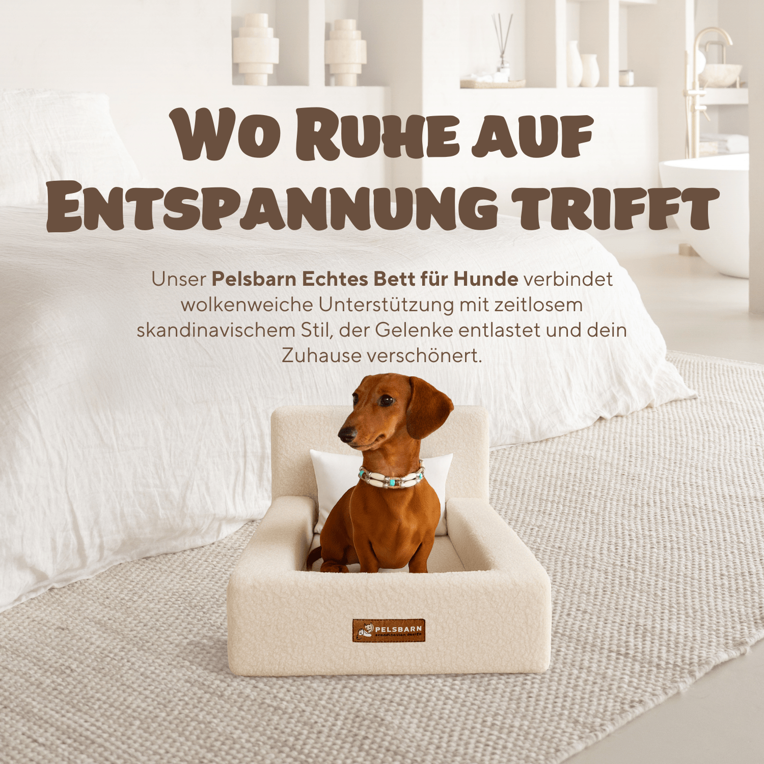 Das „ECHTE“ Bett für Hunde, die nur das Beste verdienen – pelsbarn.de
