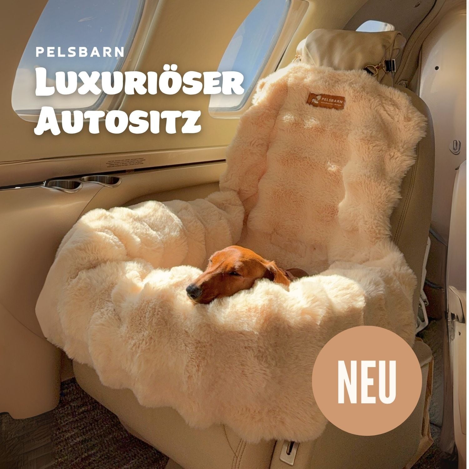 Luxuriöser Autositz