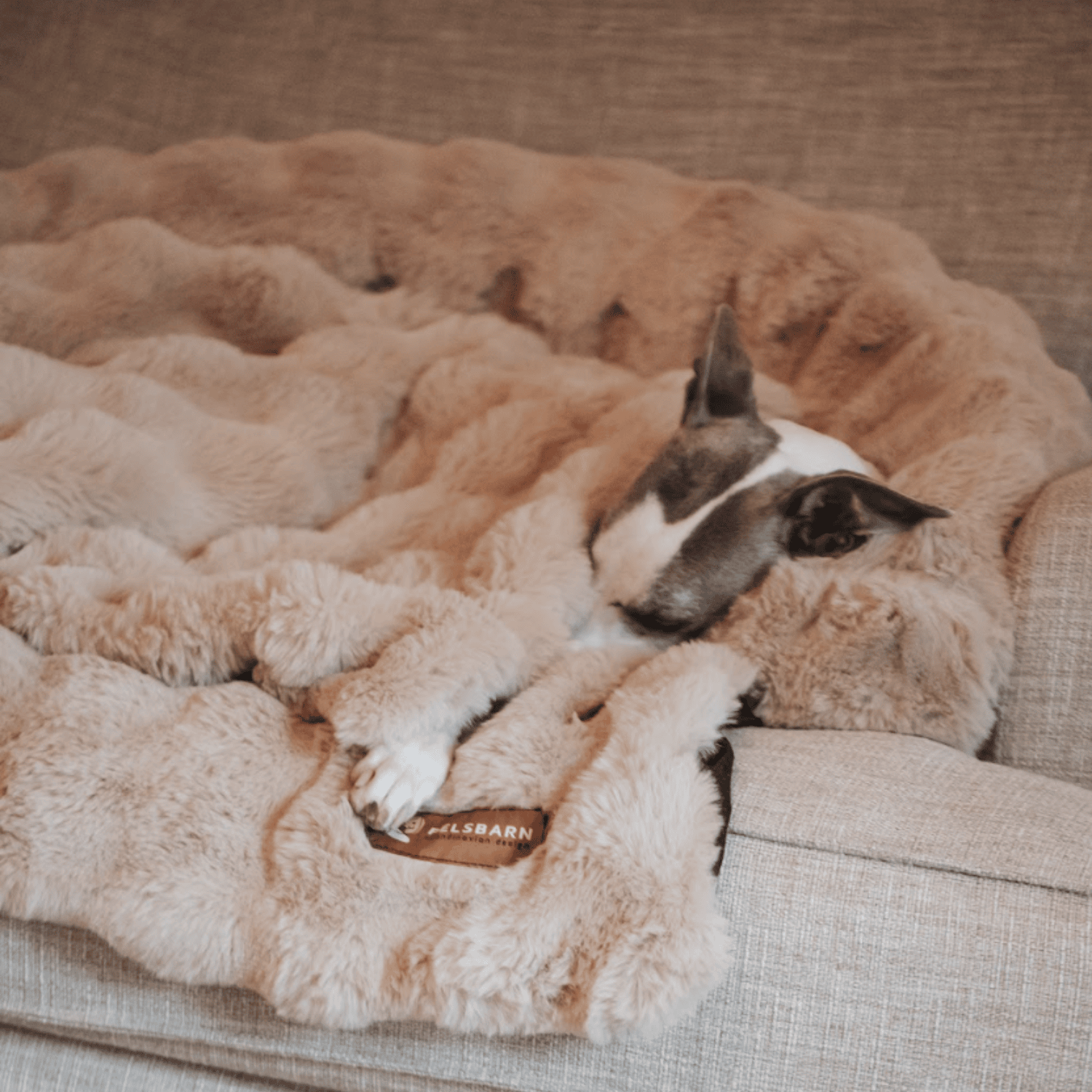 Luxuriöses Cozy Pelsbarn Sofabett + Luxuriöse Cozy Decke - Beige (Bundle)