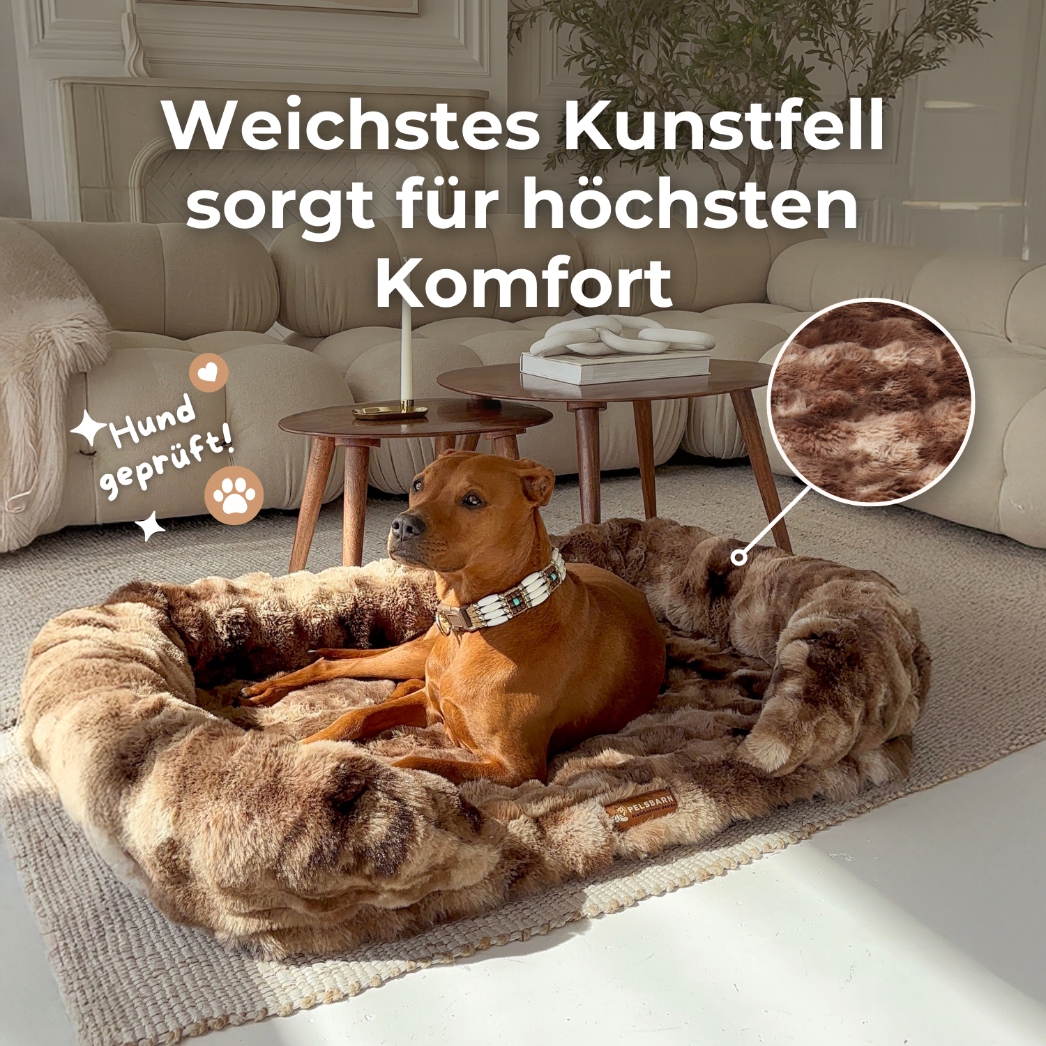 Schenke deinem Hund erholsame Ruhe