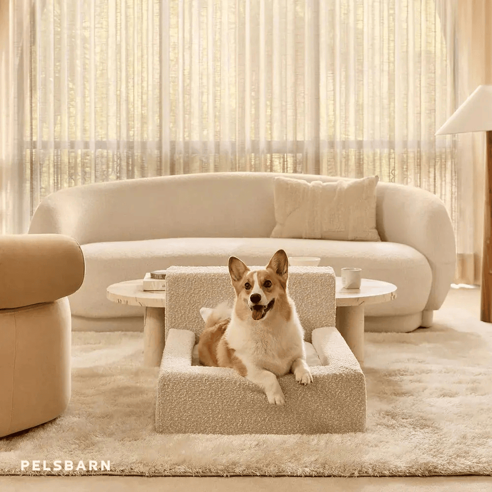 Das „ECHTE“ Bett für Hunde, die nur das Beste verdienen
