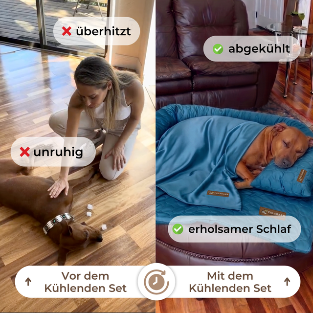 Pelsbarn Kühlendes Sofabett (4-mal effektiver) Komplettes Set
