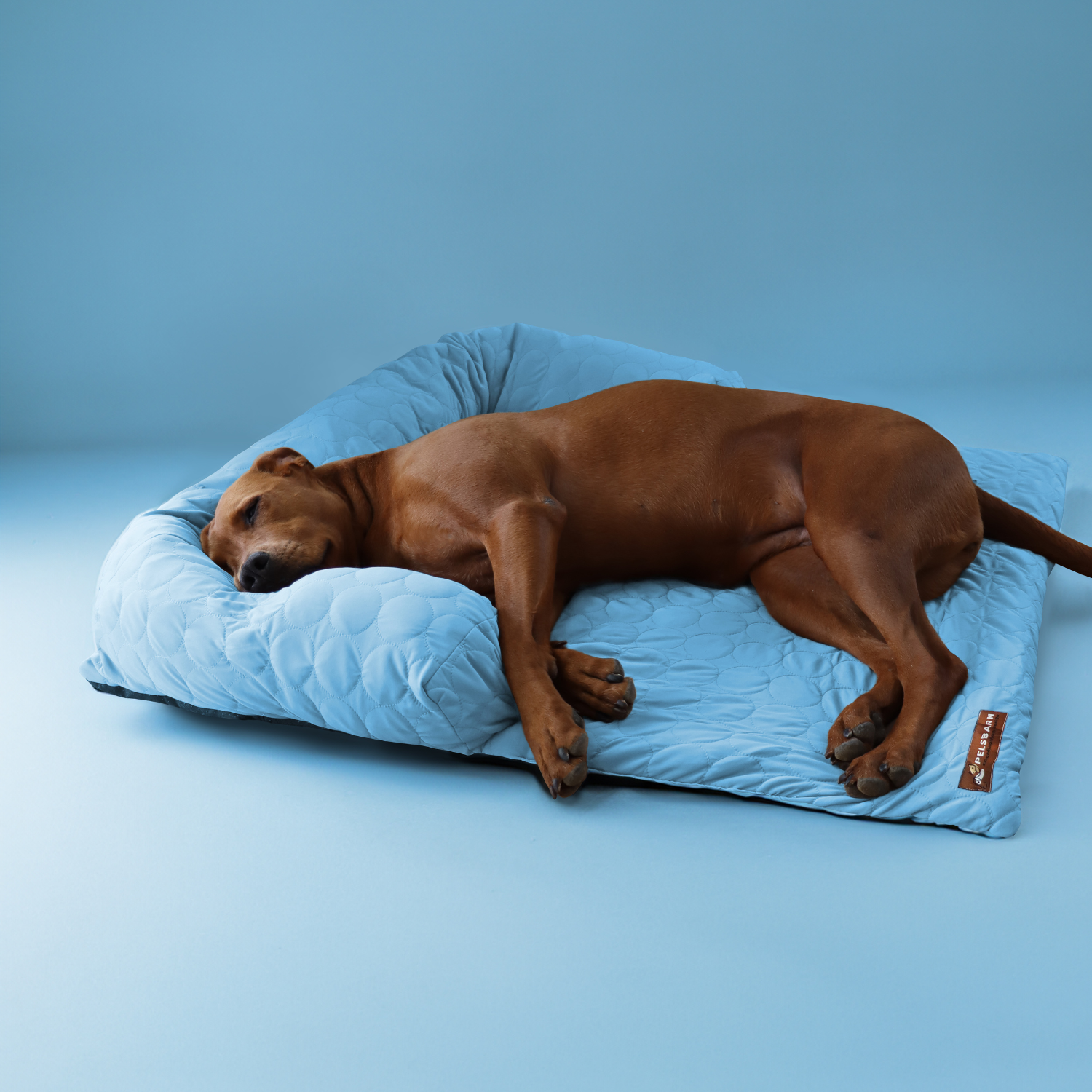 Pelsbarn kühlendes Sofabett (4-mal effektiver)