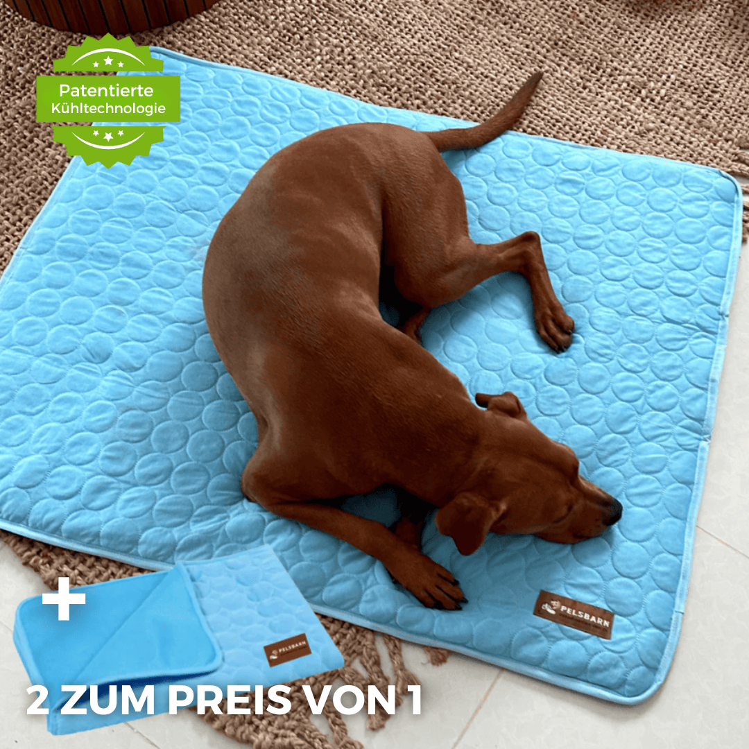 Pelsbarn Kühlmatte (1+1 GRATIS)