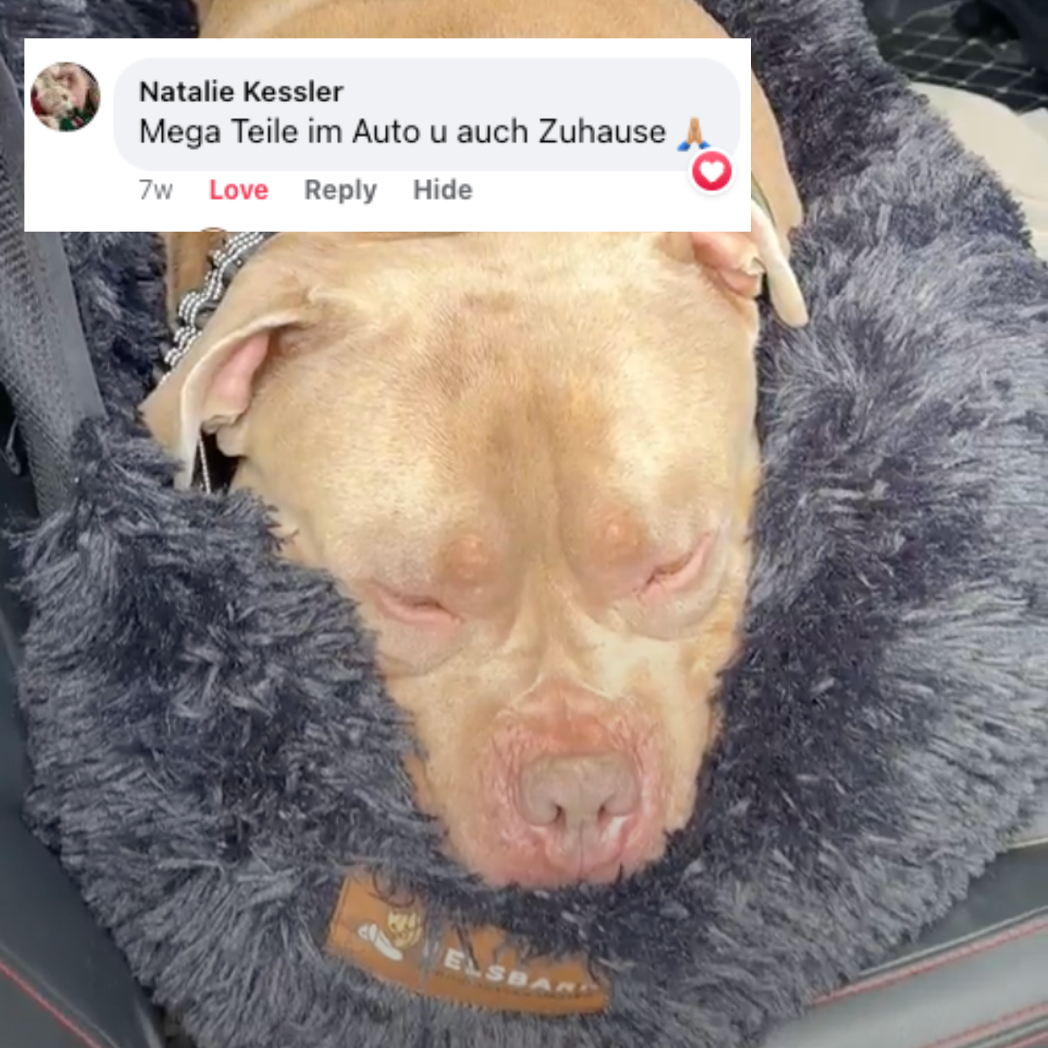 Pelsbarn Autositz 2.+ gratis Kühlmatte