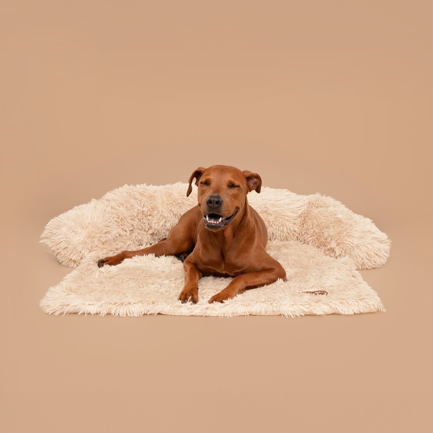 Pelsbarn Beruhigendes Hundebett (+GRATIS Kuscheldecke)