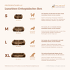 Schenke deinem Hund erholsame Ruhe