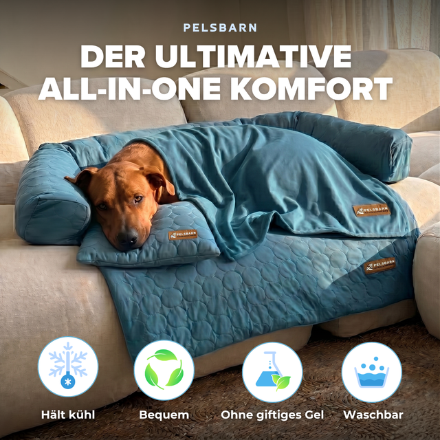Pelsbarn Kühlendes Sofabett (4-mal effektiver) Komplettes Set