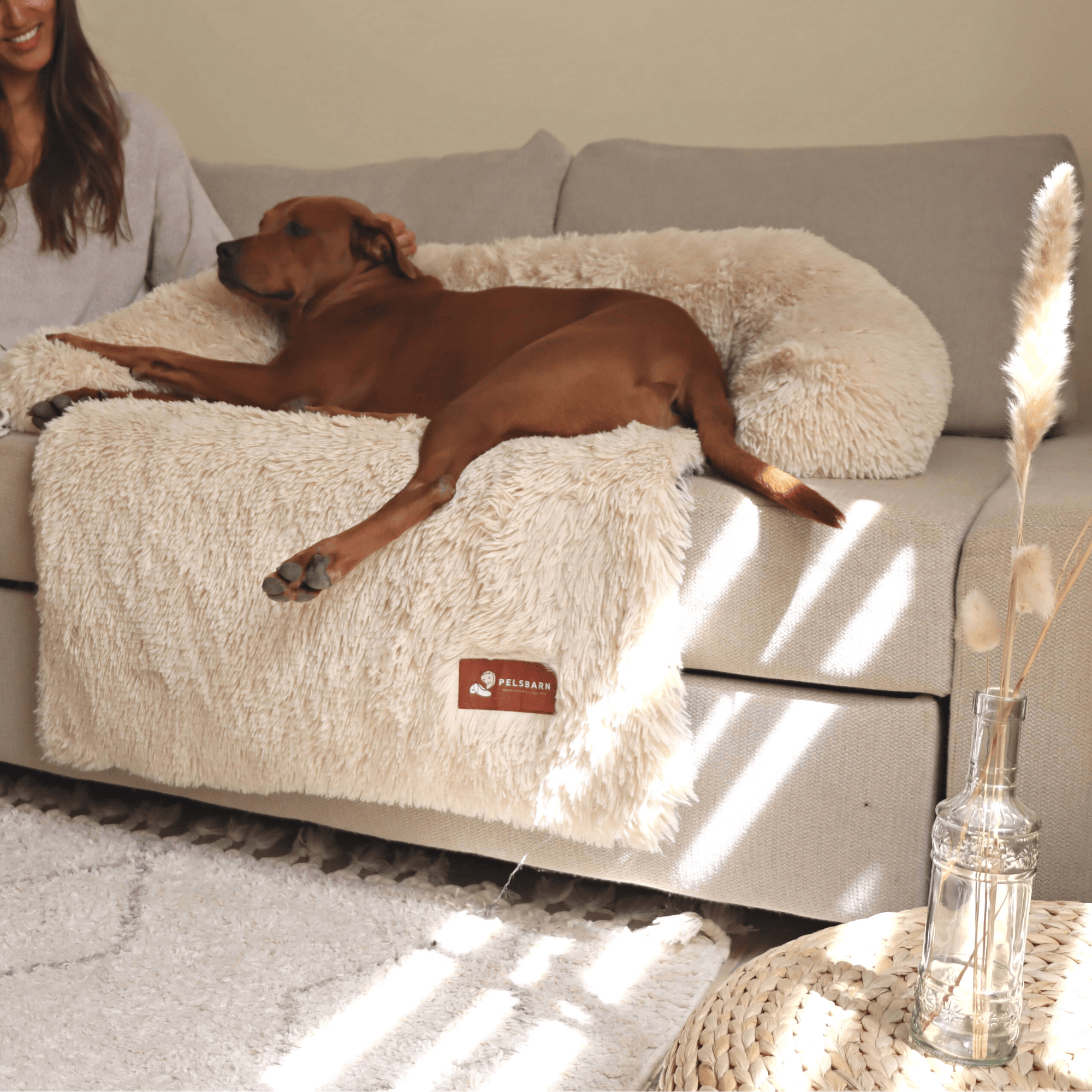 Pelsbarn Beruhigendes Hundebett (+GRATIS Kuscheldecke)