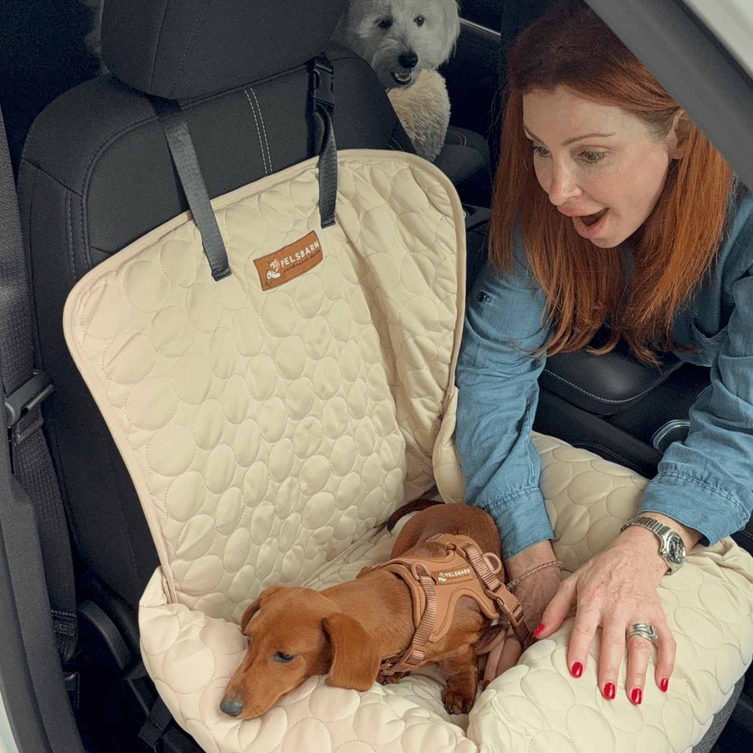 Pelsbarn® kühlender Autositz (4-mal effektiver)
