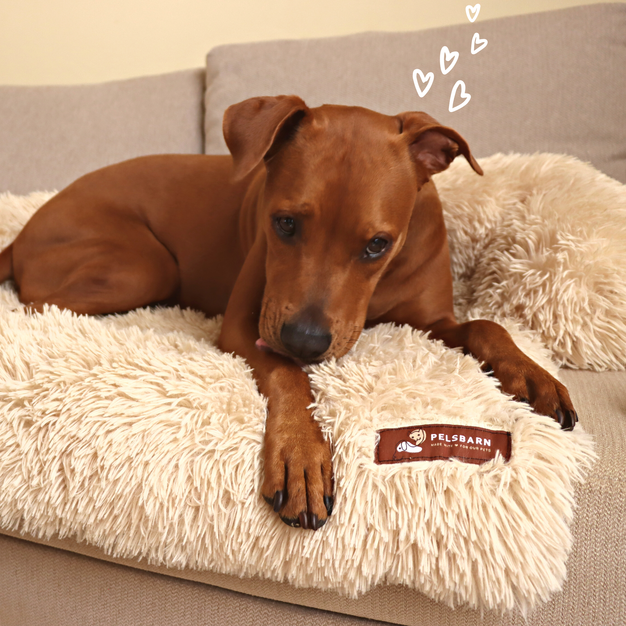Pelsbarn Beruhigendes Hundebett