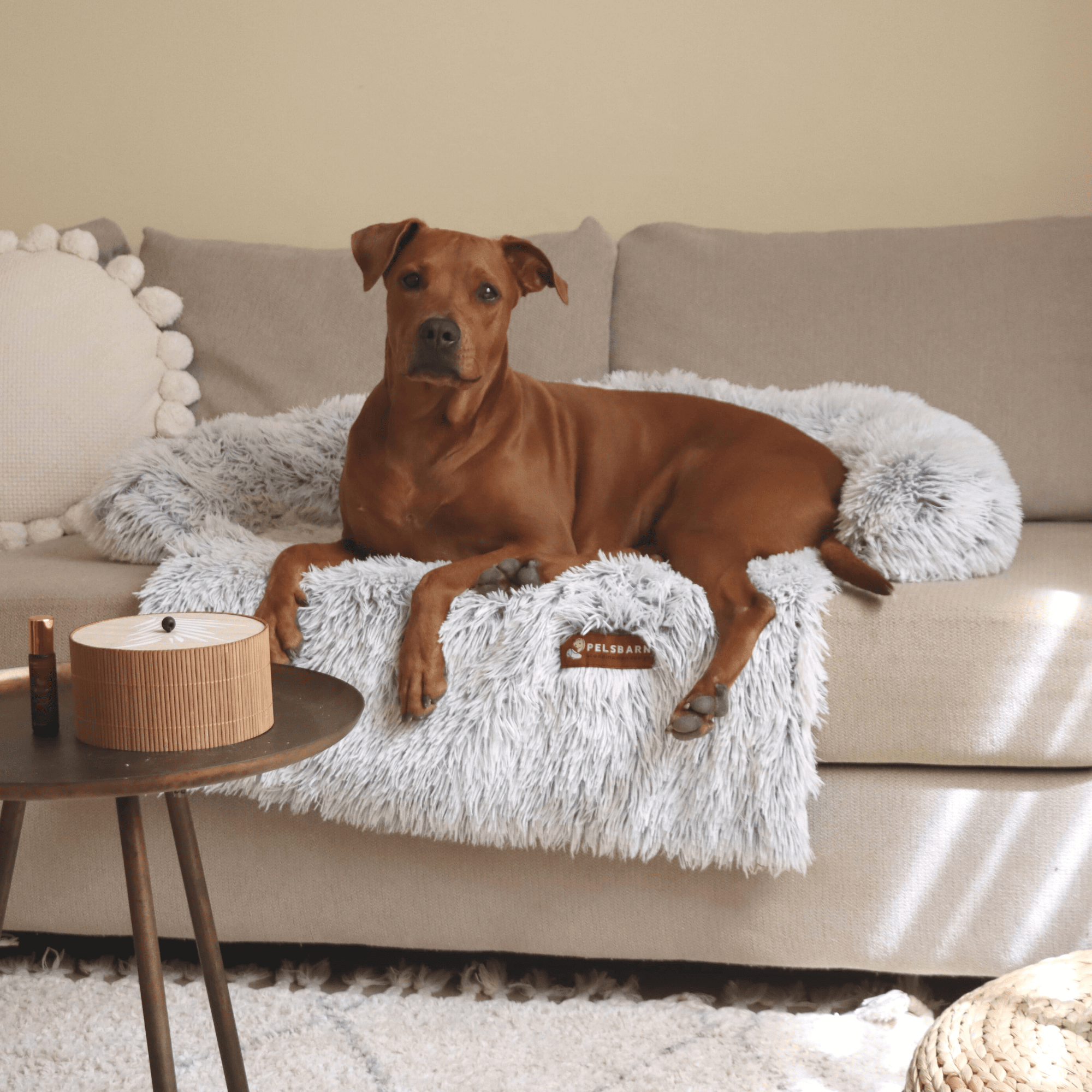 Pelsbarn Beruhigendes Hundebett